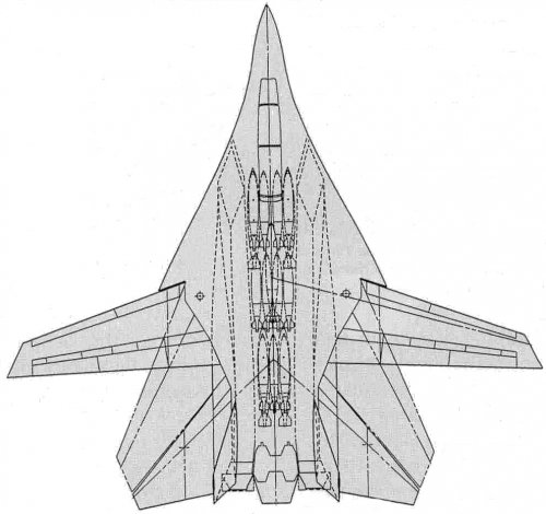 Tomcat II-1.jpg