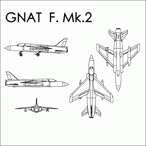 Gnat2.GIF