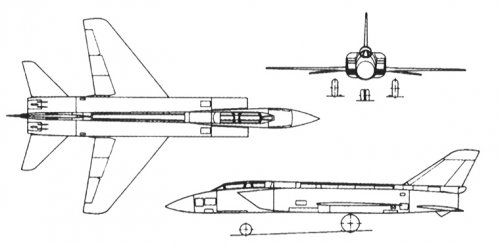 Sukhoi T-.jpg