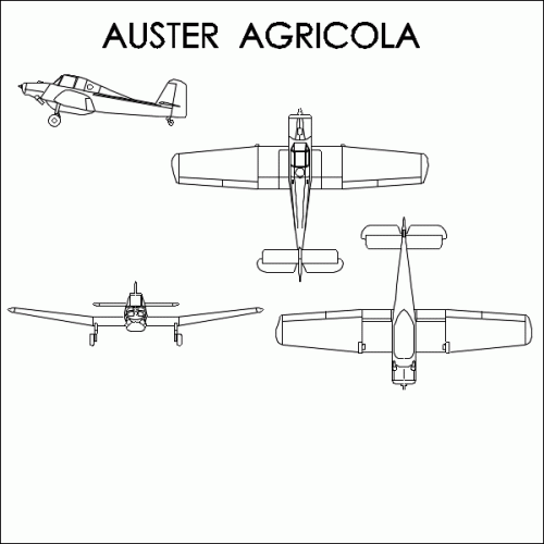 Auster_Agricola.GIF