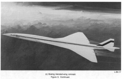 Bo blended wing.JPG