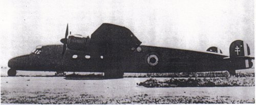 bv144.jpg