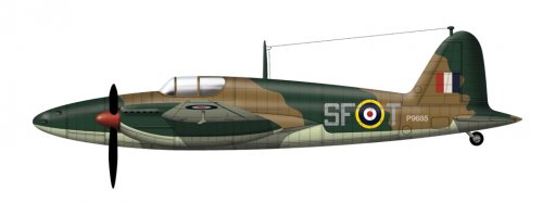 313SIDE5.jpg