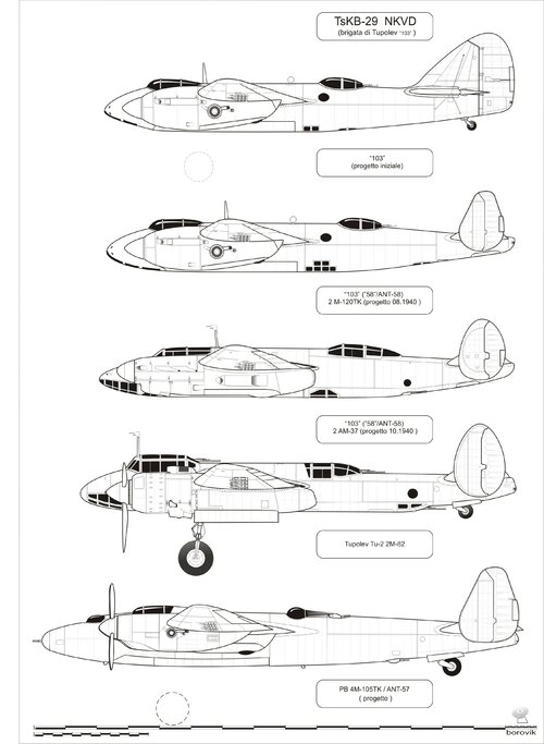 Tu-2.jpg