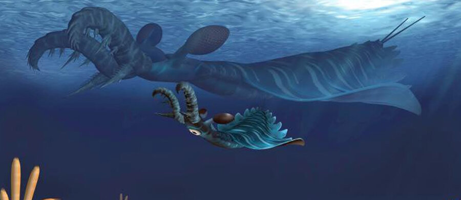 Artist's impression of juvenile (foreground) and adult (background) Lyrarapax unguispinus hunt...jpg