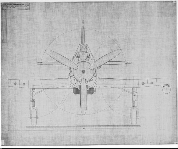 G.55 quadriarma.jpg