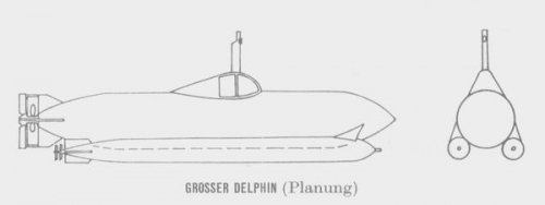 Delphin_gross.JPG