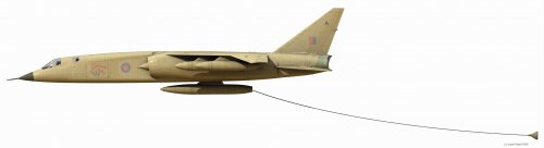 TSR2_OrthoRight_1.jpg