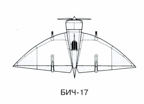 BICh-17 (top).jpg