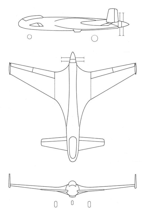 henschel-canard.jpg