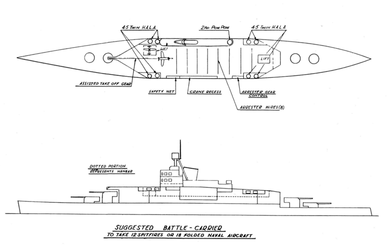 Hybrid Carrier Concept 2.png