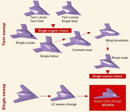 neuron evolution.JPG
