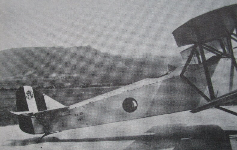 O Romeo Ro.25 (2).JPG