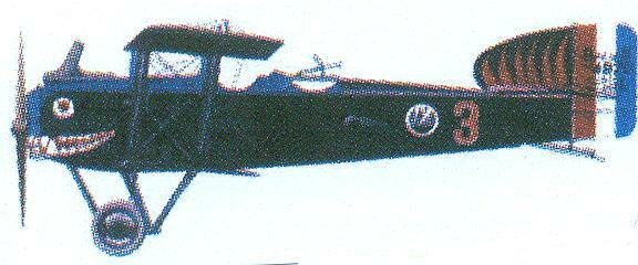 ñ 008.jpg