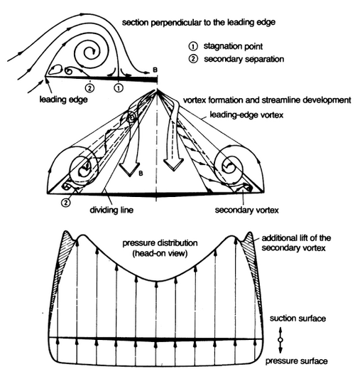 Vortex on Delta Wing.png