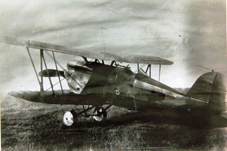 VVS_-_Polikarpov_I-7_(Heinkel_HD_37c).jpg