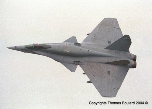 f18canard6vi.jpg