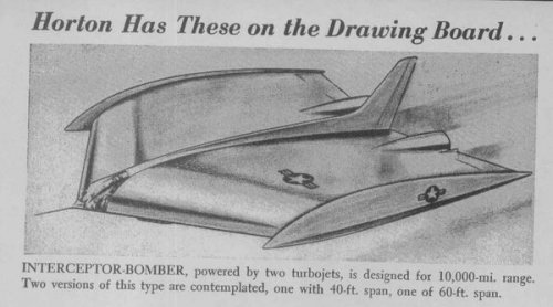 Horton-Interceptor-Bomber.jpg