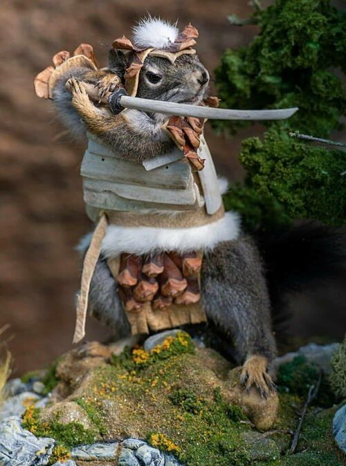 Samurai squirrel.jpg