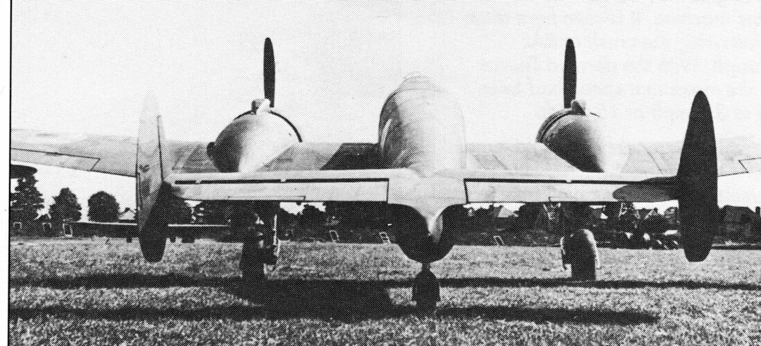 548.jpg