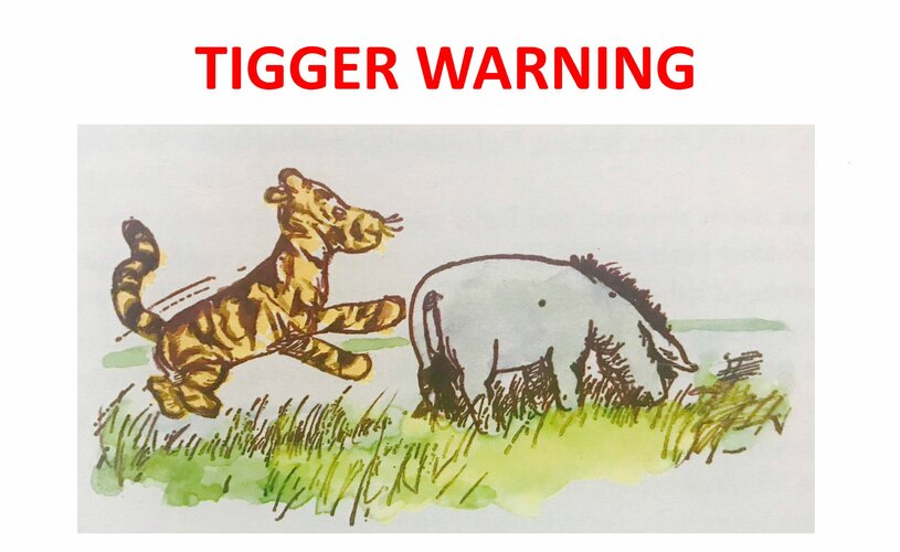 TIGGER WARNING.JPG