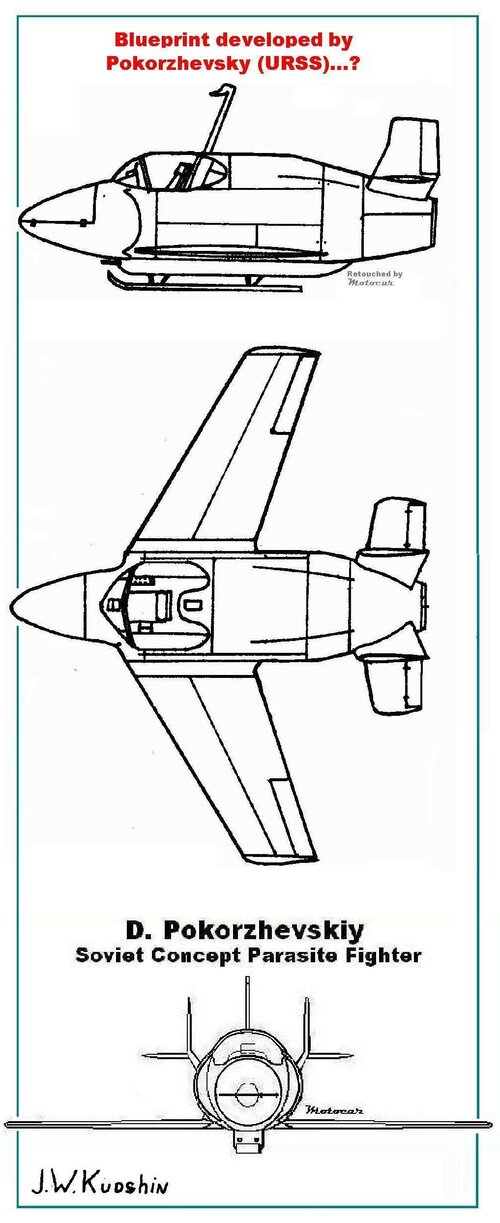 Blueprint Pokorzhevsky - copia (2).jpg