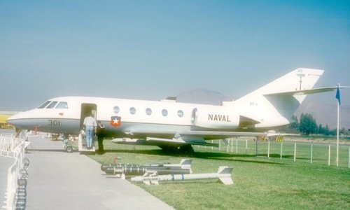 Chilean Falcon 20.jpg