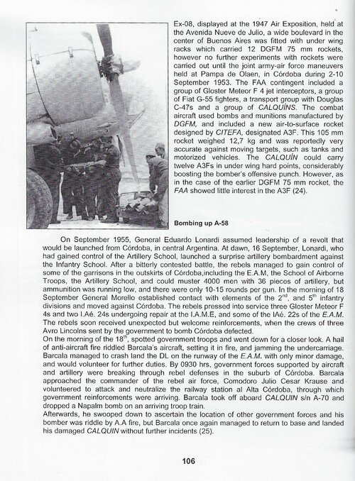 IAe 24 8 (2).jpeg