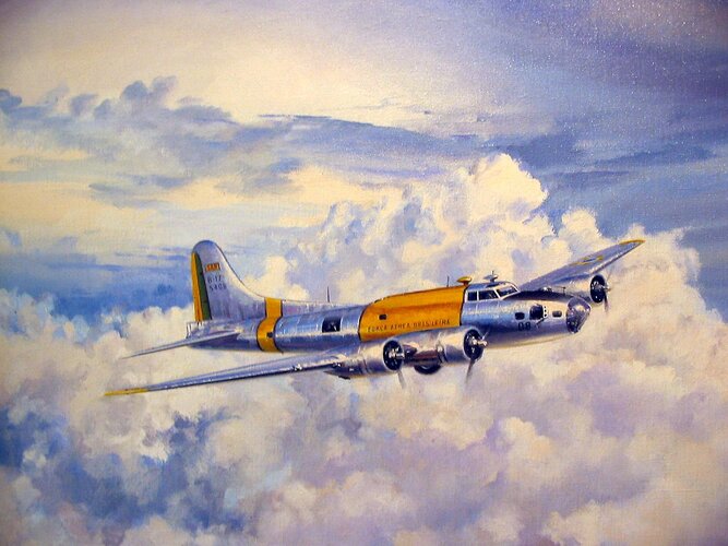 Brazilian B-17 (5406) (art).jpg