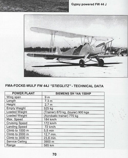 Focke Wulf mit Gipsy Major (3).jpeg