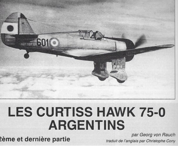 Hawk 75 sur L'Argentine 2 (3).jpeg