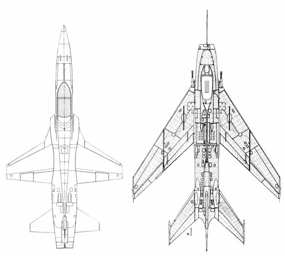 19.JPG