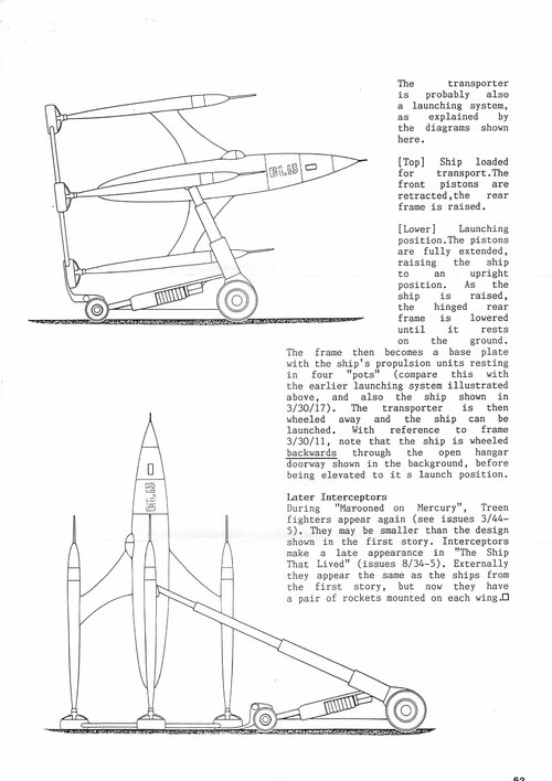 treen fighter-2 (2).jpg