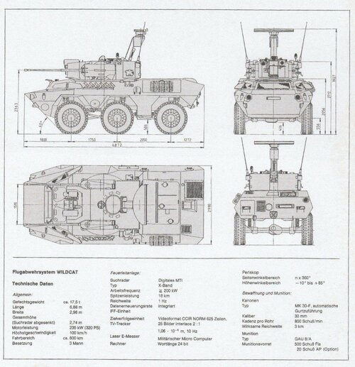 Wildcat1.jpg