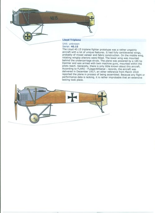 Lloyd Triplane.jpg