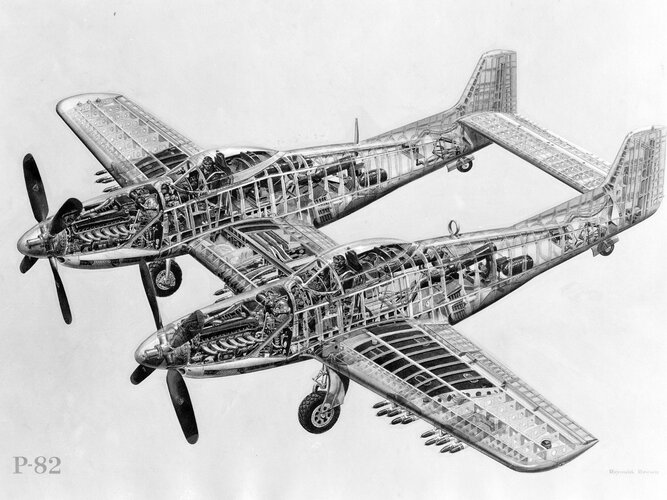 p-82-cutaway (1).jpg