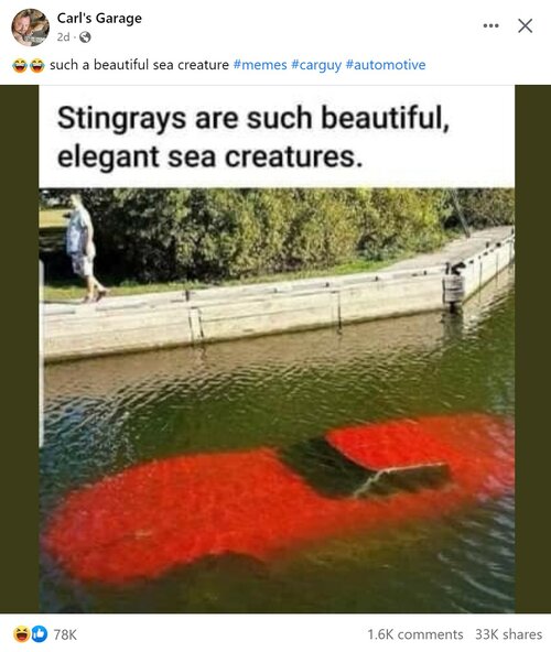 Stingrays are......jpg