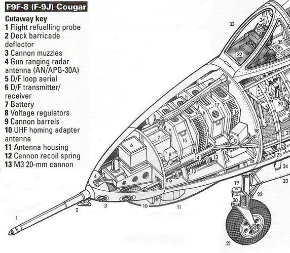Grumman F9F-8 Cougar nose Aviagraphica .JPG