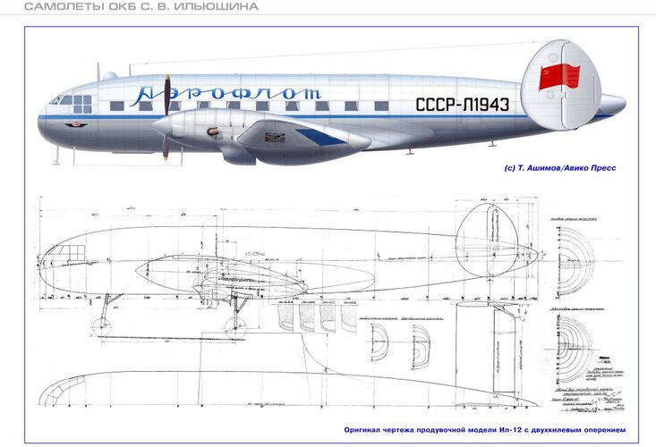 IL-12_01.jpg