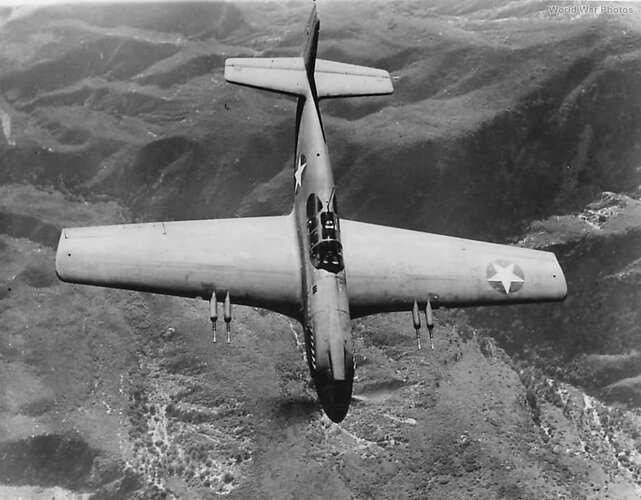 P-51_20_mm_cannons.jpg