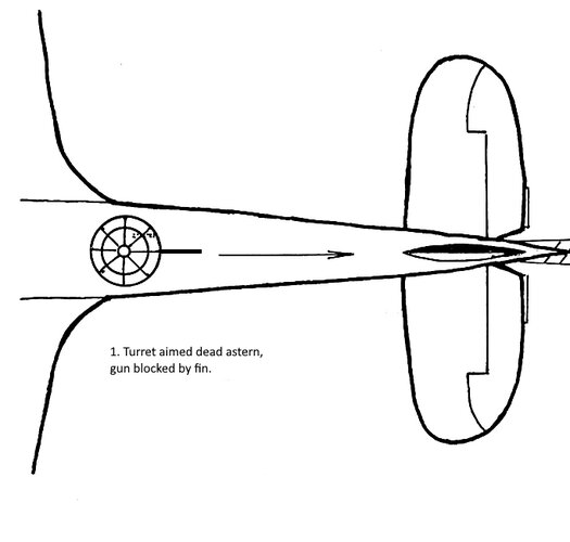 Blenheim Aim 1.jpg