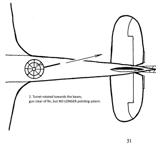 Blenheim Aim 2.jpg