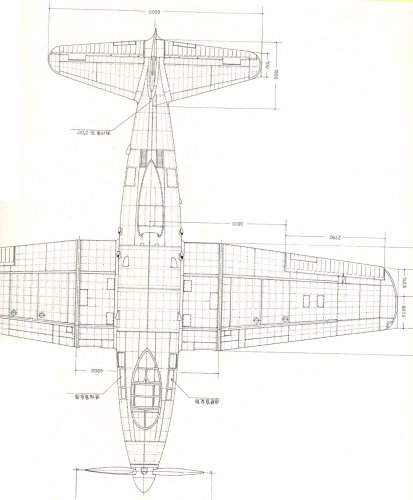 Escanear0001.jpg