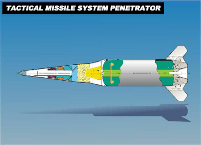 TACMS-P.jpg