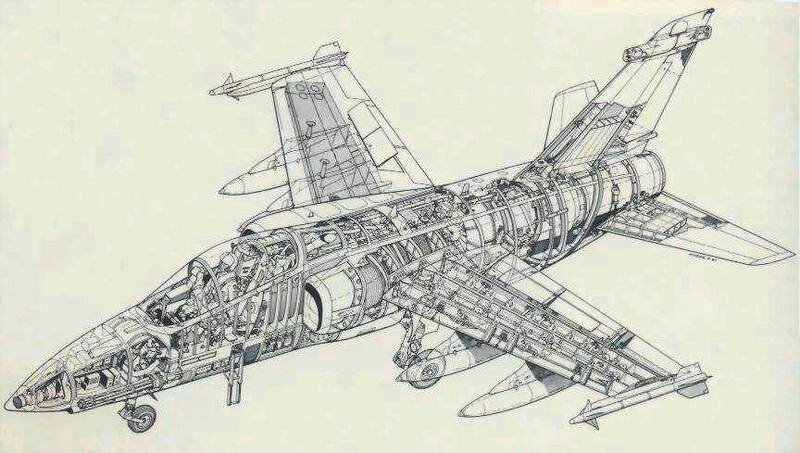 AMX cutaway.jpg