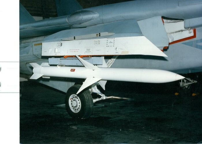 F-14 with AM-88 HARM.jpg