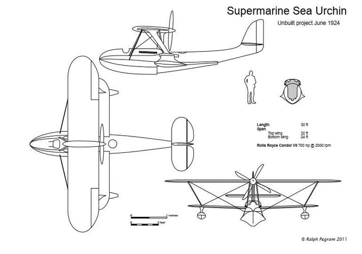 Sea Urchin 1924.jpg