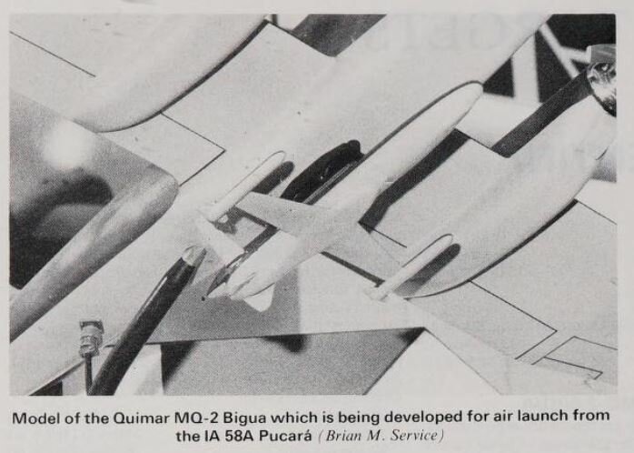 QuimarMQ-2Bigua.JPG