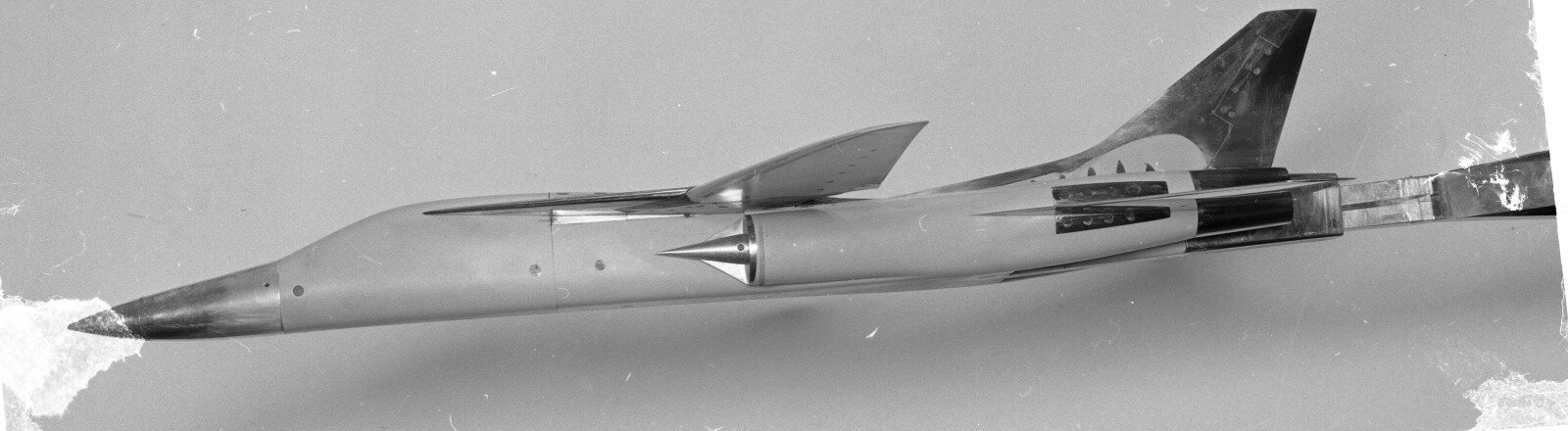 53366453446_acb42e9854_o (1).jpg