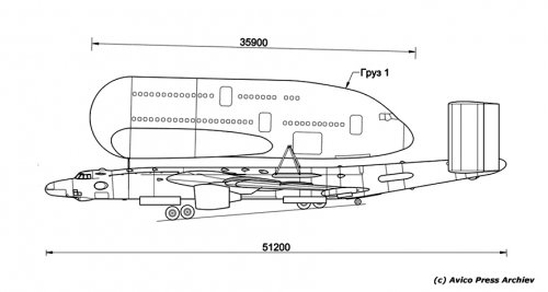 Beluga-2.jpg